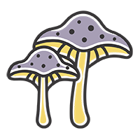 Дезинфекция грибка